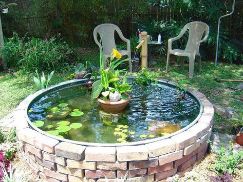 Stock Tank Pond, Rubbermaid Stock Tank, Stock Tank Gardening, Diy Ponds Backyard, Raised Pond, Goldfish Pond, Diy Pond, Florida Gardening, Tank Pool