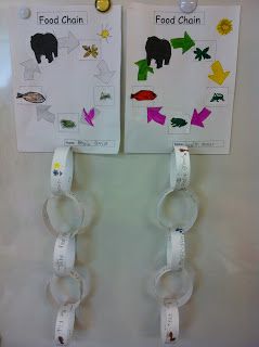 Here's a terrific post on teaching about food chains to ESOL students. Interdependence Of Plants And Animals, Science Food Chains, Food Chain Activities, Food Webs, Trophic Level, 1st Grade Science, Ell Students, Primary Science, Third Grade Science