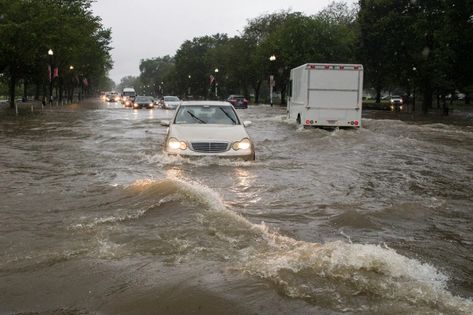 Washington Floods Expose a Double Threat: Old Drains and Climate Change - The New York Times Heavy Rainfall, Water Rescue, Flood Warning, Environmental Movement, Tropical Storm, District Of Columbia, Environmental Issues, French Quarter, Ny Times