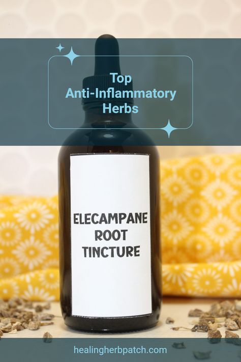 Discover the best anti-inflammatory herbs that can help soothe aches, reduce swelling, and promote overall wellness. Explore the healing power of natural remedies like turmeric, ginger, and garlic. Dive into how these herbs work in your body to lower inflammation and enhance your health, whether by including them in your meals or using essential oils. You’ll find tips for effectively incorporating these ingredients into your daily routine for lasting benefits. Let mother nature lend a hand in your journey toward a pain-free life! Elderberry Tea, Calendula Benefits, Lower Inflammation, Reduce Swelling, Menstrual Health, Using Essential Oils, Holy Basil, Healing Herbs, Free Life