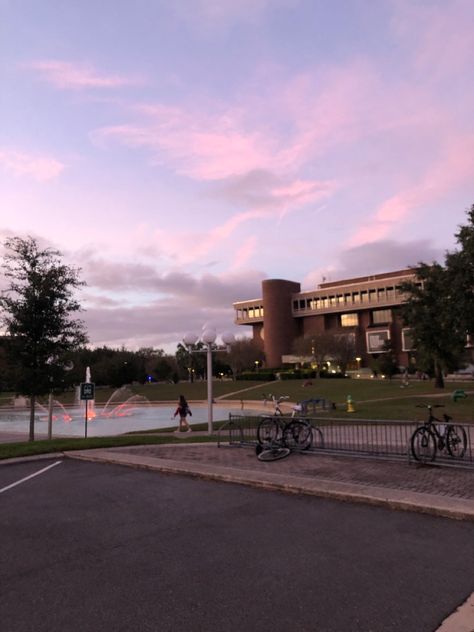 University Of Central Florida Aesthetic, Ucf Aesthetic, Pond Aesthetic, Manifestation Ideas, Reflection Pond, Aesthetic Library, Colleges In Florida, University Of Central Florida, Vision Board Photos