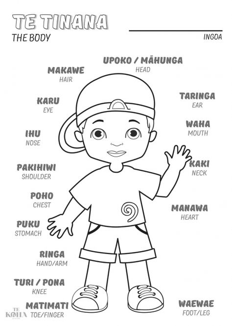 Kohanga Reo Activities, Maori Activities For Preschoolers, Oshc Activities, Ece Resources, Maori Songs, Te Reo Maori Resources, Maori Legends, Maori Language, Maori Symbols