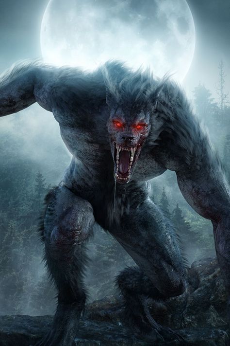 Killer Werewolves! How do they work? Werewolf Drawing, Werewolf Hunter, Dark Creatures, Werewolf Art, Vampires And Werewolves, Greek Mythology Art, Wolf Pictures, Classic Monsters, Fantasy Monster