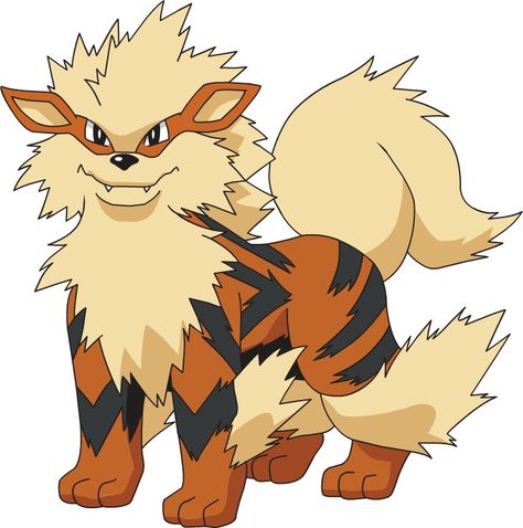 Arcanine Pokemon, Fire Pokemon, Pokemon Painting, Mega Pokemon, Pokemon Gif, Pokemon Pokedex, Pokemon Party, Pokemon Teams, Pokemon Drawings