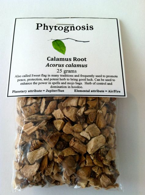 Organic Calamus Root. In mild doses Acorus Calamus root was commonly used as a stimulant to combat fatigue while larger doses were thought to produce a psychedelic effects. Walt Whitman enjoyed the effects of Acorus Calamus root during long walks in the country and wrote lovingly of it in many of his poems. It was a common ingredient during the middle ages in European witches "flying brews." Home Color Design, Acorus Calamus, Calamus Root, Witches Flying, Heal Thyself, Herbal Magic, Cool Facts, Walt Whitman, The Occult