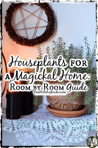 House Plants For Witches, Indoor Witch Garden, Green Witch Aesthetic Bedroom, Green Witch Interior, Green Witch Aesthetic Home Living Room, Green Witch Kitchen Aesthetic, Green Witch Living Room, Witch Bathroom Aesthetic, Green Witch Home Decor