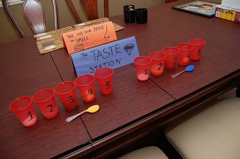 The Taste Station. Let kids taste the difference between salty, sour, sweet, savory, and bitter (coffee or baking chocolate is good). Guess which is which. #science #preschool #brain #senses #homeschool #sciencefriday Preschool Opposites, Sensory Stations, Science For Children, Pre K Science, Pre School Ideas, Pre-k Science, Science Experiments For Kids, Kids Inspo, Baking Chocolate