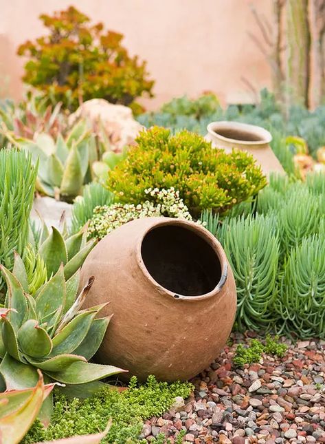 Spanish Garden, Desert Garden, Landscape Designs, Desert Plants, Cactus Y Suculentas, Cactus Garden, Desert Landscaping, Succulents Garden, Cacti And Succulents