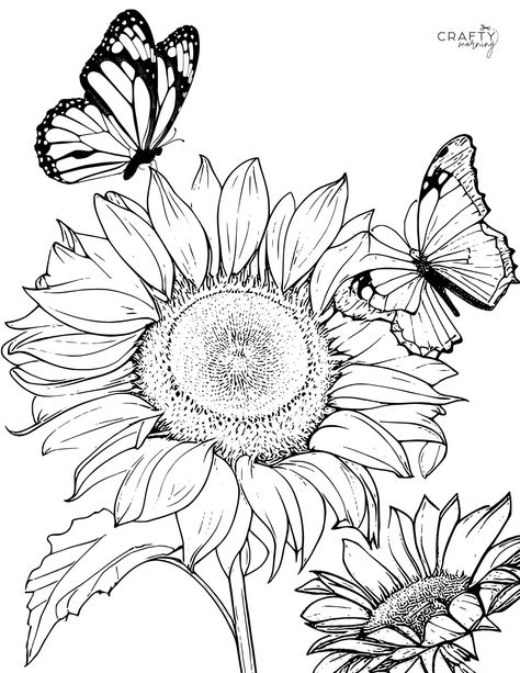 Sunflower Pattern Free Printable, Sketching Flowers, Sunflower Coloring, Stitch Coloring, Sunflower Black And White, Printable Sunflower, Sunflower Watercolor Painting, Sunflower Coloring Pages, Printable Flower Coloring Pages