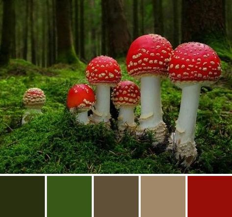 Color palette #27 Mushrooms ✱ST Fairy Aesthetic Color Palette, Mushroom Pallete, Mushroom Color Pallete, Mushroom Forest Color Palette, Color Palette Mushroom, Fungi Color Palette, Goblin Color Palette, Mushroom Mood Board, Mushroom Colour Palette