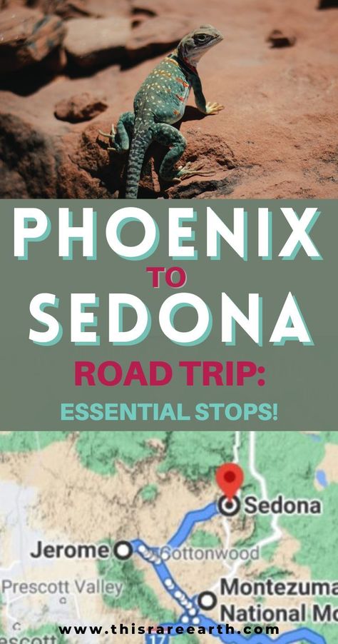 A lizard in Sedna and a map of Arizona. Drive From Phoenix To Sedona, Phoenix To Grand Canyon Road Trip, Sedona Arizona Picture Ideas, Phoenix To Sedona Road Trip, Sedona Arizona Things To Do In, Sedona Road Trip, Phoenix To Sedona, Phoenix Travel Guide, Arizona Waterfalls