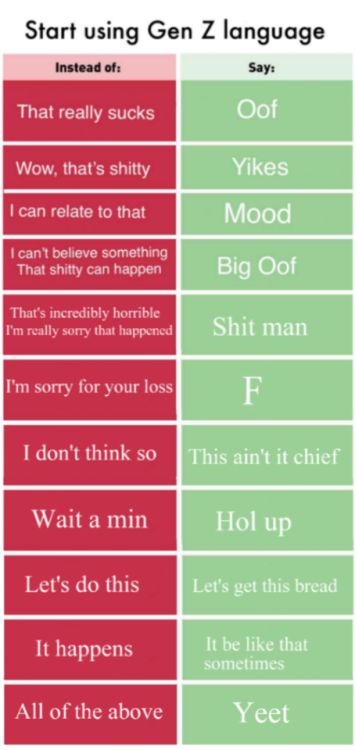 Gen Z slang - this is all EXTREMELY accurate, I hear these on a daily basis at school Slang Words, Gen Z, I Can Relate, What’s Going On, Laughing So Hard, Vocabulary Words, Funny Fails, English Words, Tumblr Funny