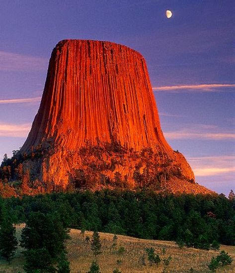 Wyoming Trip, Devils Tower Wyoming, Montana Trip, Devils Tower National Monument, Devils Tower, Travel America, Awesome Nature, Road Trippin, Natural Scenery