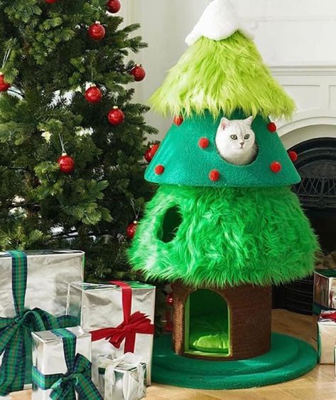 Tree Cat Tower, Christmas Tree Cat, Fluffy Hat, Cat Tree House, Cat Climbing Frame, Cat Proofing, Tree Cat, Bunny House, Puppies And Kitties