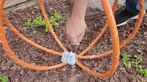 This post was transcribed by a member of the Hometalk editorial team from the original HometalkTV episode.Grab some hula hoops before summer ends for this perfect fall lawn idea. For today's project, we're going to start with some hula hoops. Hula Hoop Rug Diy, Halloween Hula Hoop Decorations, Hula Hoop Halloween Decor, Fall Lawn Decorations, Hula Hoop Pumpkin, Diy Outdoor Thanksgiving Decorations, Hula Hoop Crafts, Fall Lawn Decor, Hula Hoop Decoration