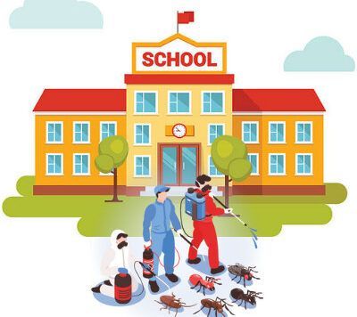 Pest management control in schools School Clean, Pest Management, Pest Control Services, Healthy Environment, Pest Control, Spiders, The School, Ants, Rats