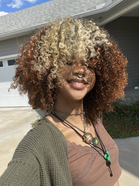 Natural Hair Bleaching Black Women, Curly Hair With Colored Bangs, Color Hair Ideas Curly, Multi Colored Natural Hair, Different Natural Hair Colors, Coily Hair Dye Ideas, Curly Halo Hair Dye, 4a Dyed Hair, Hair Dye Combos Black Women