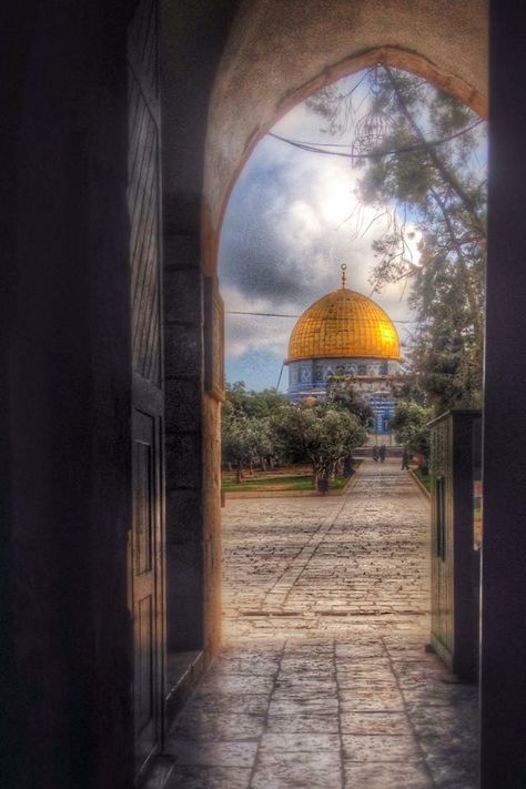 Jewish Inspiration, Golden Dome, Who Is Jesus, Temple Mount, Promised Land, Holy Land, Capital City, Web Interface, Great Photos