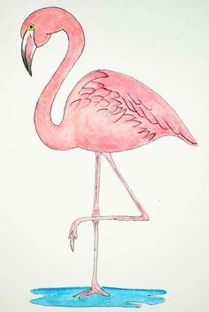 Flamingo Images Free Printable, Flamingo Friday, Kids Drawing Ideas, Pencil Drawing Ideas, Fancy Flamingo, Flamingo Wall Art, Flamingo Painting, Flamingo Art, Flamingo Pattern