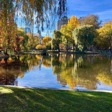 Boston Common - 2019 All You Need to Know BEFORE You Go (with Photos) - TripAdvisor Boston Common Aesthetic, Boston Common Park, Boston University Aesthetic, Boston Commons, Boston Pictures, Boston Aesthetic, Boston Attractions, City Life Aesthetic, Boston Trip