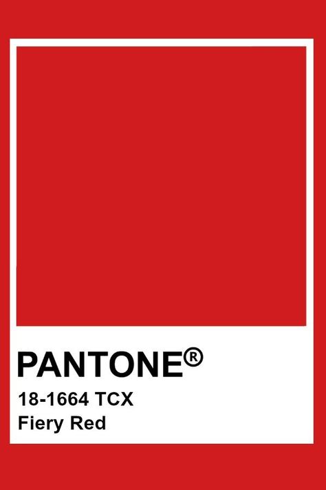 Pantone Tcx Orange, Pantone Red Orange, Pantone Red Shades, Tcx Pantone, Work Moodboard, Pink Pantone, Dance Nation, Pantone Tcx, Pantone Trends