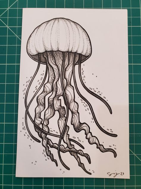 Jellyfish drawing / illustration By Sara Riley Drawings Of Jellyfish, Mushroom Jellyfish Drawing, Sea Life Drawings Easy, Jelly Fish Drawing Easy, Jellyfish Drawing Easy, Jellyfish Pencil Drawing, Jellyfish Drawing Pencil, Jellyfish Line Art, Easy Jellyfish Drawing