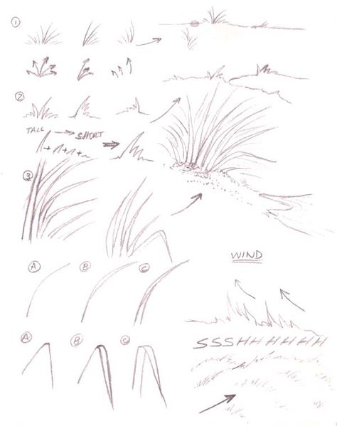 Landscape Drawing Tutorial, Grass Drawing, How To Draw Realistic, Draw Realistic, Nature Sketch, Tree Sketches, Landscape Sketch, Plant Drawing, Nature Drawing