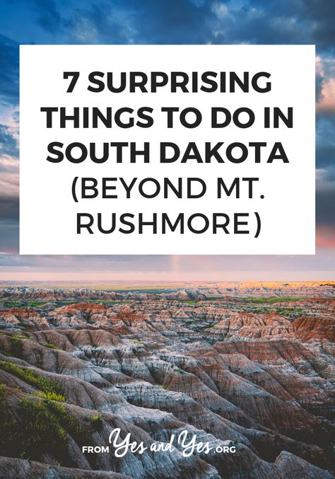 South Dakota Road Trip, South Dakota Vacation, South Dakota Travel, Bison Burgers, Mt Rushmore, Custer State Park, Midwest Travel, Badlands National Park, Dinosaur Bones