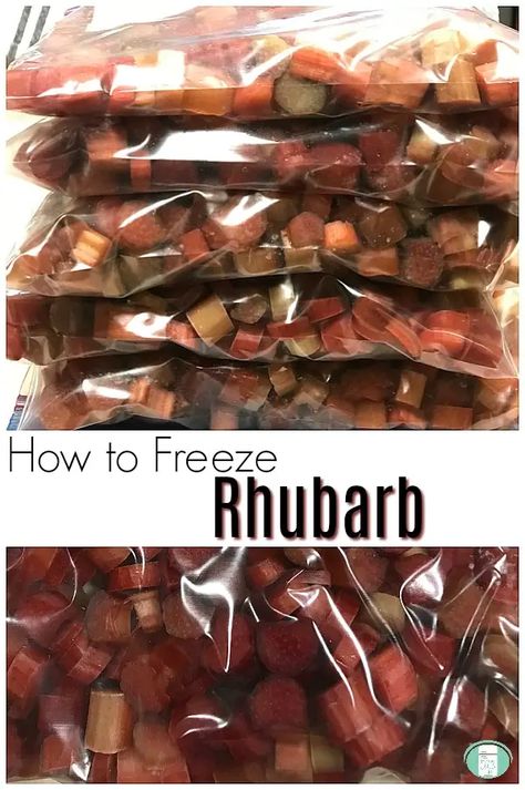 How To Freeze Rhubarb, Can You Freeze Rhubarb, Freezing Rhubarb, Rhubarb Uses, Freeze Rhubarb, Rhubarb Muffins, Freezing Food, Rhubarb Crisp, Rhubarb Cake