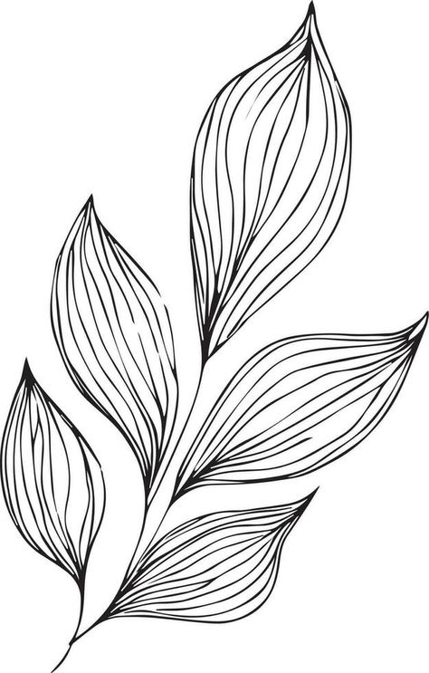 botanical vector illustration coloring page, simplicity, Embellishment, monochrome, vector art, Outline print with botanica leaf of branch, botanical leaves, and buds, minimalis botanical tattoos. Outline Leaves, Leaves Outline, Leaf Vector Illustration, Outline Flowers, Print Making Designs, Easy Tattoos To Draw, Easy Tattoos, Botanical Tattoos, Botanical Vector