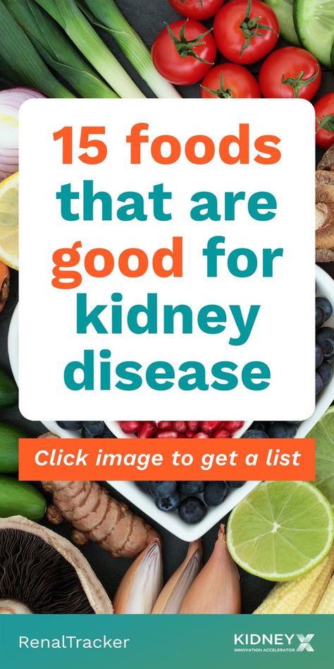 Kidney Diet Food Lists, Renal Friendly Recipes, Foods Good For Kidneys, Ckd Diet, Renal Recipes, Kidney Healthy Foods, Kidney Diet Recipes, Ckd Recipes, Kidney Friendly Recipes Renal Diet