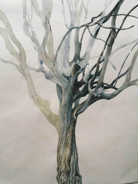 Painted Study, Illustration Tree, Weird Trees, Tree Study, Watercolor Images, Tree Drawing, Plant Illustration, Watercolor Inspiration, Paintings & Prints