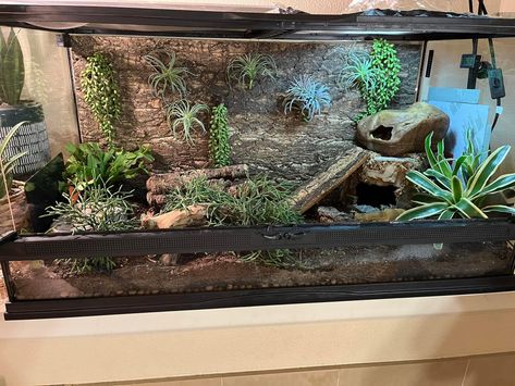 Leopard Gecko Cage, Python Tank, Gecko Cage, Ball Python Pet, Leopard Gecko Habitat, Leopard Gecko Tank, Snake Cages, Gecko Habitat, Snake Terrarium