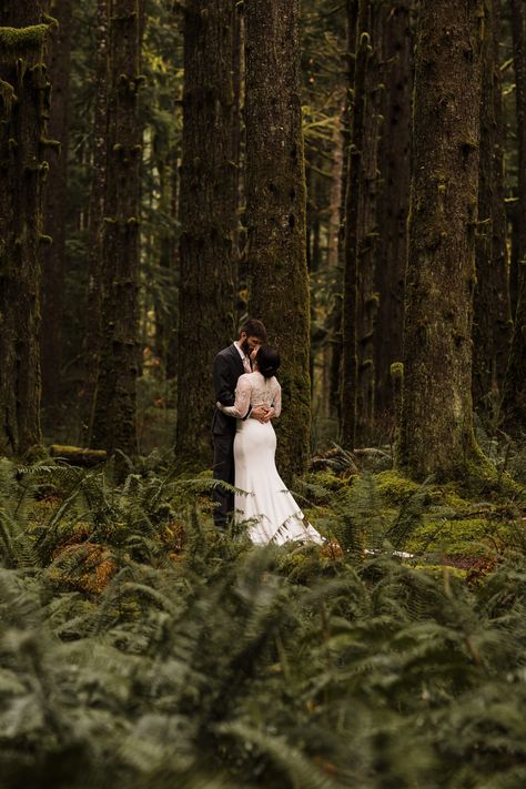 Olympia National Park, 2023 Elopement, Forest Wedding Photography, Dream Elopement, Forest Engagement Photos, Twilight Wedding, Redwood Wedding, Washington Coast, Forest Theme Wedding