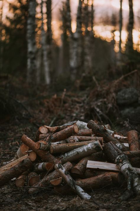 Oil Wallpaper, Earthy Tones Aesthetic, Wood Piles, Autumn Cabin, November Mood, Lodge Aesthetic, Dystopian Aesthetic, Cabin Aesthetic, Wallpaper Winter