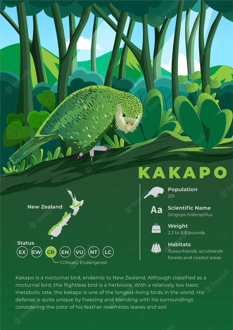 Animal Infographic Illustration, Great Poster Design, Cute Animal Poster, Animal Infographic Design, Bird Infographic, Endangered Animals Infographic, Info Poster Design, Animal Poster Design, Biodiversity Poster