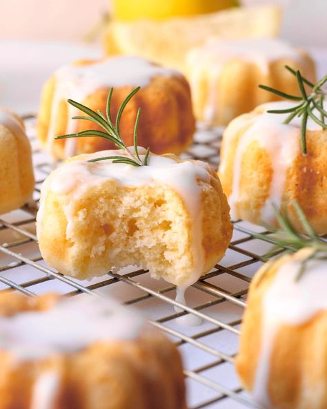 Mini Lemon Rosemary Bundt Cakes – Eye Doc Bakes Lemon Rosemary Cake, Lemon Glaze Cake, Easy Treats To Make, Tiny Cakes, Lemon Bundt Cake, Mini Bundt Cakes, Lemon Rosemary, Lemon Glaze, Lemon Flavor