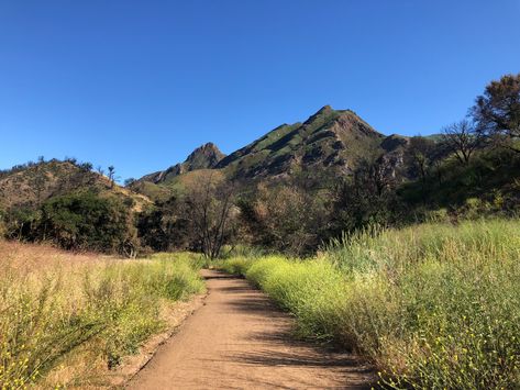 Exploring Malibu Creek State Park | HilaryStyle Malibu Creek State Park, Santa Monica Mountains, Marc Jacobs Daisy, Canyon Road, Pacific Coast Highway, Malibu California, Take Me Back, Downtown Los Angeles, Pacific Coast