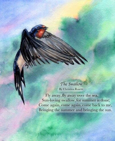 POEM: "The Swallow", by Christina Rosetti. Illustration by Star Williams Swallow Meaning, Swallow Quotes, Swallow Bird Tattoo Meaning, Soaring Swallows Cards, Bird Poems, Swallows Of Capistrano, Swift Bird, Christina Rossetti, Swallow Bird