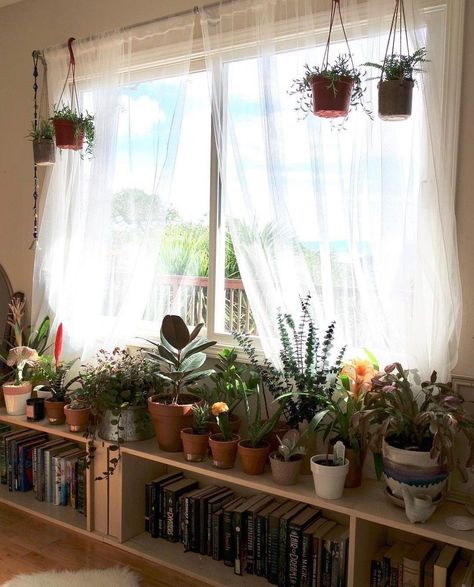 Front Window Interior Decor, Plant Bench Indoor Window, Plant Table By Window, Small Wall Space Ideas, Below Window Decor, Plant Table In Front Of Window, Under Window Plant Stand, Plant Stand In Front Of Window, Plant Nook Ideas