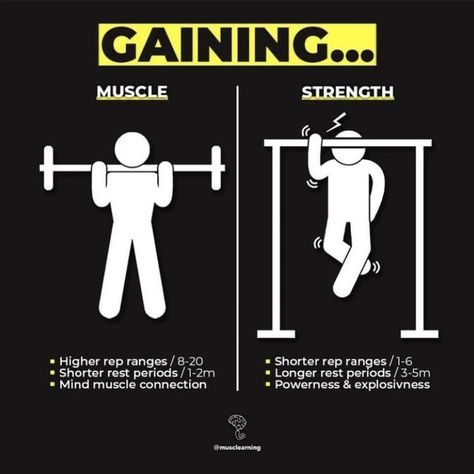 What do you prefer? 🤔💥 Save for later ✅ Follow @calichojin for more Calisthenics content 🤜🏻🤛🏻 . . . . . . . . . . #calisthenics #calisthenicsbeginner #calisteniaworkout #progress #muscle #strength #gainingmuscle #decipline #motivation #transformation #bodytransformation #explore Calisthenics Motivation, Gym Workout Guide, Bodybuilding Workouts Routines, Bodybuilding Workout Plan, Gym Workout Chart, Workout Routine For Men, Workout Training Programs, Motivation Lifestyle, Abs And Cardio Workout