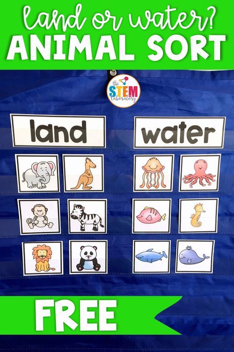 Animal Habitat Sort! A fun freebie to help kids learn all about animals who live in the water and on land. A great way to introduce animal habitats to preschool and kindergarten kids. Perfect for a zoo or ocean unit. #theSTEMLaboratory #animalactivities #animalscience #kindergarten Animal Circle Time Activities, Animal Habitats Kindergarten, Animal Habitats Preschool, Ngss Kindergarten, Preschool Pets, Habitat Activities, Zoo Preschool, Ocean Theme Preschool, Animal Habitat