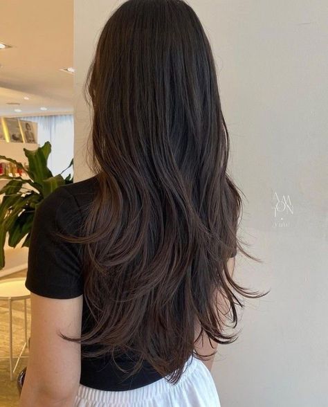 Medium Layered V Shaped Haircut, Long Layered Haircuts U Shape, V Shape Hair Medium, Asian Long Layers, Asian Long Layered Hair, Layers Asian Hair, Asian Haircut Long Layers Straight Hair, Long Layered Hair Asian, Asian Long Hair Cuts With Layers