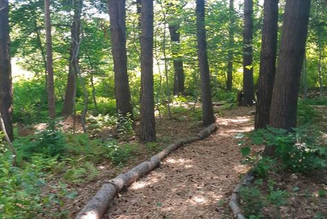 Garden With River, Wooded Backyard Landscape, Rocks Garden, Lake Landscaping, Garden River, Wood Path, River Rock Garden, Rock Landscape, Landscape Rock