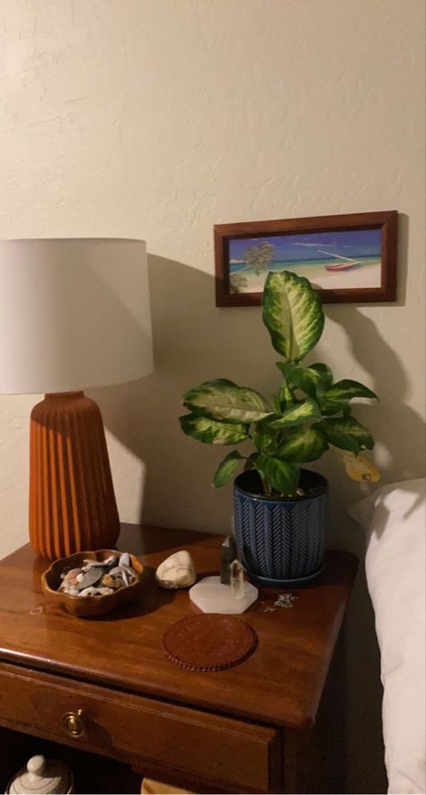 Nightstand Plants, Thrifted Lamps, House Apartment, Plant Lighting, First Apartment, Floating Nightstand, Plant Decor, Vintage Furniture, Apartment