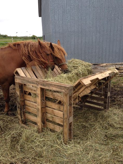 Horse feeder made from old pallets Diy Hay Feeder, Horse Stables Design, Hay Feeder For Horses, Horse Feeder, Horse Farm Ideas, Horse Hay, Horse Shelter, Hay Feeder, Stables Design