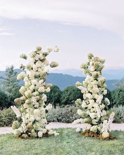 Jessica Gold on Instagram: "Hydrangeas, but make it art. From last year in Highlands, North Carolina with simply the best team. Captured on Portra 400 film, processed by @photovisionprints. @whitewoodevents @maryewynn @amyosabadesign @rockwoodlodgenc @crusheventdesign @margaretsniderco @carolhannahbridal @pernosformalwear @tablemadeco @rekindlecandle.co @partytables_linensanddrapery #filmphotographer #destinationweddingphotographer #contax645 #portra400 #highlandsncwedding #rockwo White Hydrangea Wedding Arch, Wedding Decor Hydrangea, Hydrangea Flower Arch, Hydrangea Arch Wedding, Hydrangea Wedding Ceremony, Hydrangea Wedding Arch, Hydrangea Arch, Hydrangea Wedding Decor, Green Hydrangea Wedding