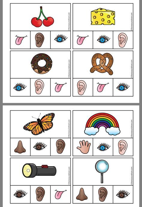 Baby Sensory Classes, Letter Sounds Kindergarten, Phonemic Awareness Games, Five Senses Preschool, 5 Senses Activities, Teacher Games, Senses Preschool, Emotions Preschool, Body Preschool