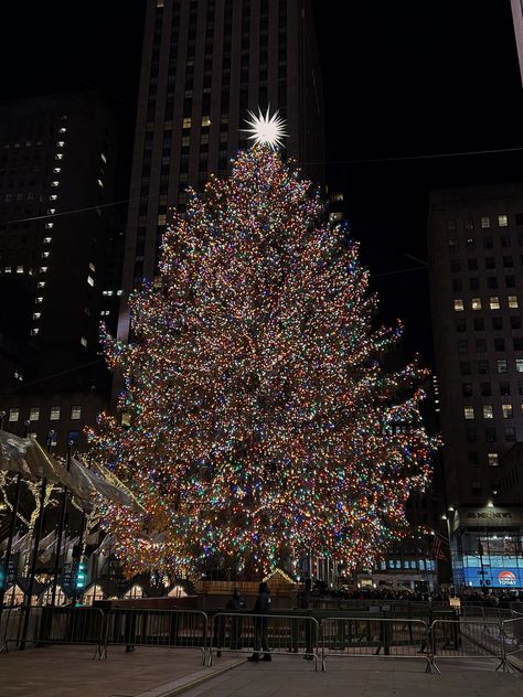 Rockerfella Christmas Tree New York, Nostalgia Aesthetic 2000s, Nyc Christmas Tree, Nyc Aesthetic Wallpaper, Rockefeller Tree, Rockefeller Christmas Tree, Childhood Christmas, Christmas Nyc, Chickens In The Winter