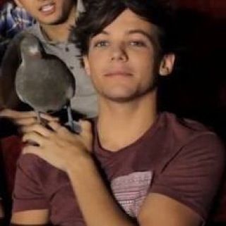 Louis Tomlinson with KEVIN!! the pegion!! Louis Tomlinson, Funny